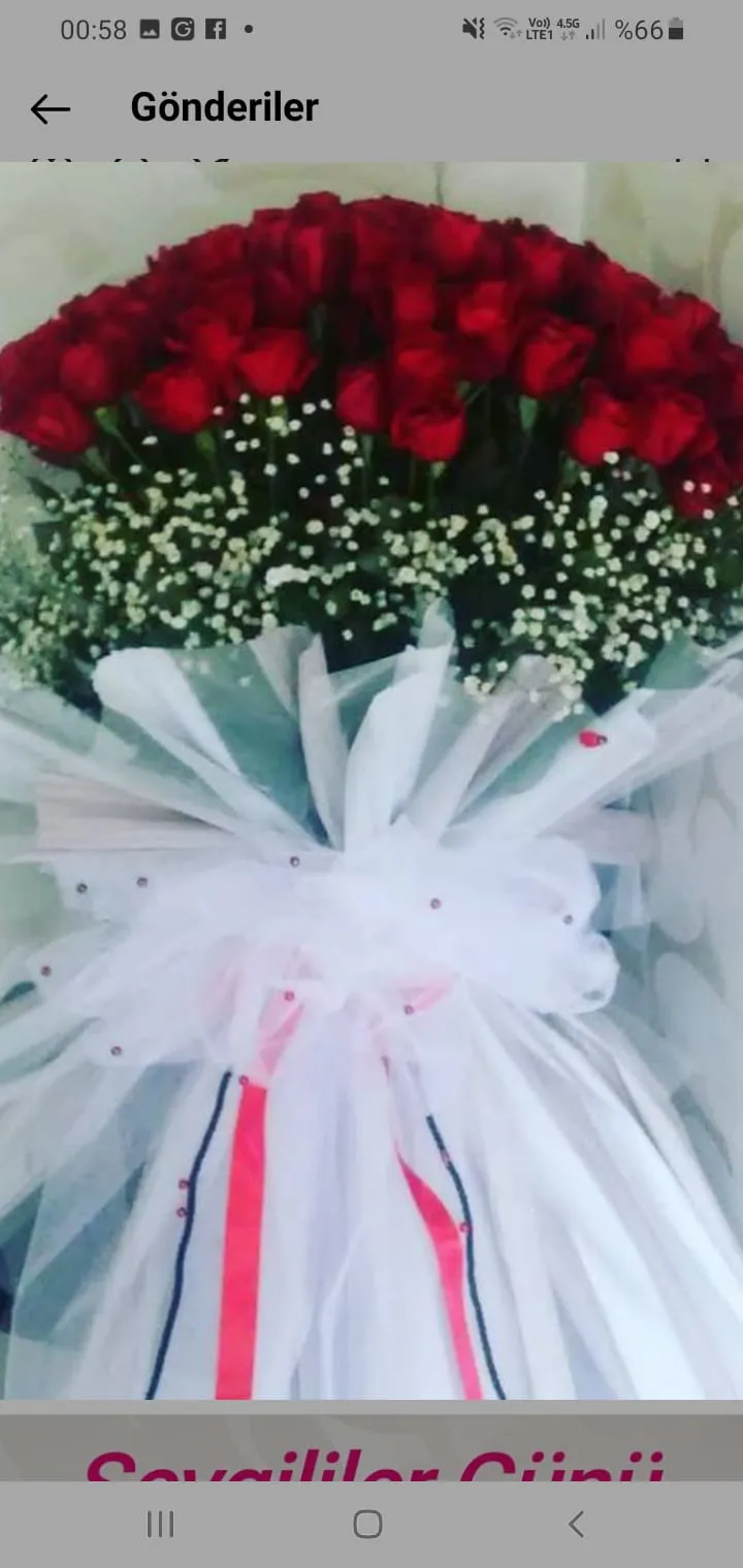 101 Adet İsteme Çiçeği